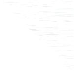 White Grain & Smooth White